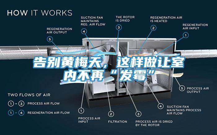 告别黄梅天，这样做让室内不再“发霉”