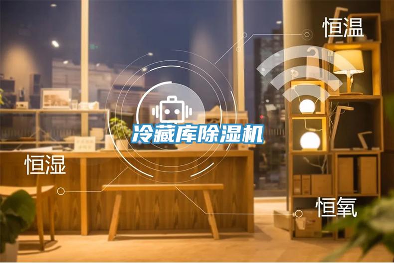 冷藏库91免费网站在线观看