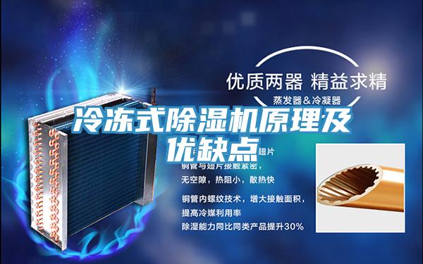 冷冻式91免费网站在线观看原理及优缺点