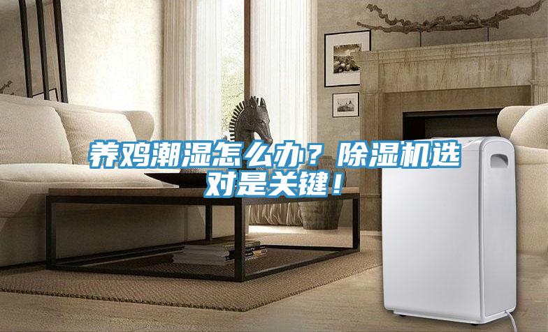 养鸡潮湿怎么办？91免费网站在线观看选对是关键！