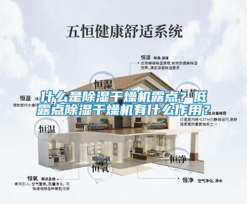 什么是除湿干燥机露点？低露点除湿干燥机有什么作用？