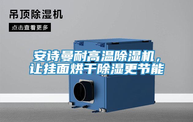 91免费看黄片耐高温91免费网站在线观看，让挂面烘干除湿更节能