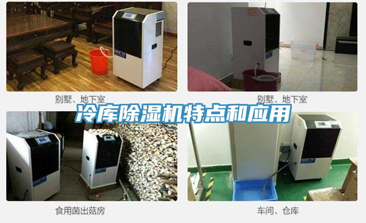 冷库91免费网站在线观看特点和应用