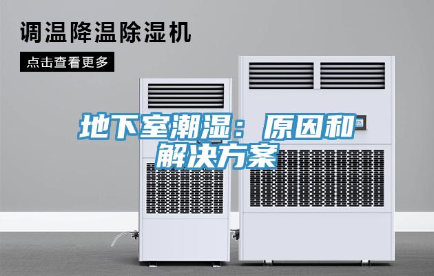 地下室潮湿：原因和解决方案