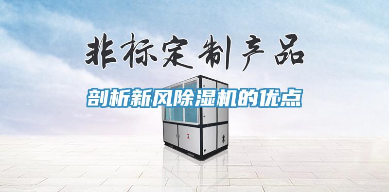 剖析新风91免费网站在线观看的优点