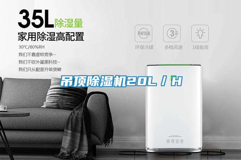 吊顶91免费网站在线观看20L／H