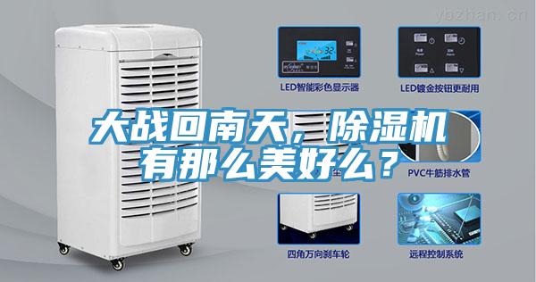大战回南天，91免费网站在线观看有那么美好么？