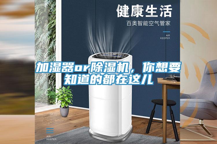 加湿器or91免费网站在线观看，你想要知道的都在这儿