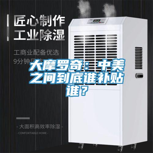 大摩罗奇：中美之间到底谁补贴谁？