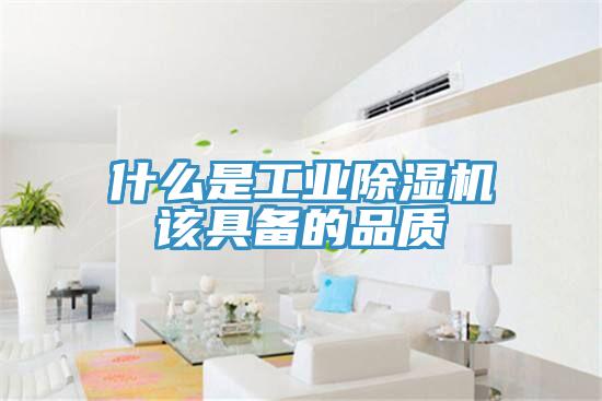 什么是工业91免费网站在线观看该具备的品质