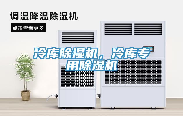 冷库91免费网站在线观看，冷库专用91免费网站在线观看
