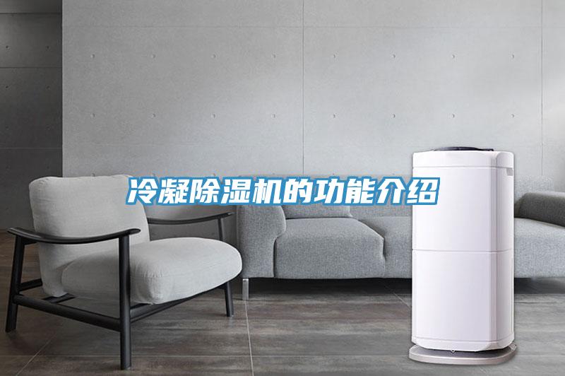 冷凝91免费网站在线观看的功能介绍