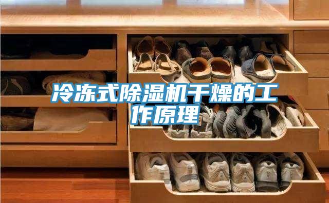 冷冻式91免费网站在线观看干燥的工作原理