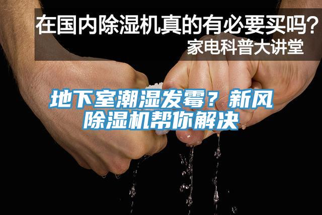 地下室潮湿发霉？新风91免费网站在线观看帮你解决