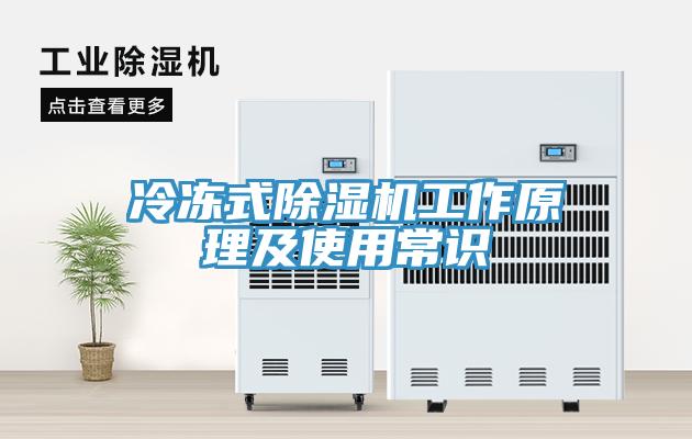 冷冻式91免费网站在线观看工作原理及使用常识