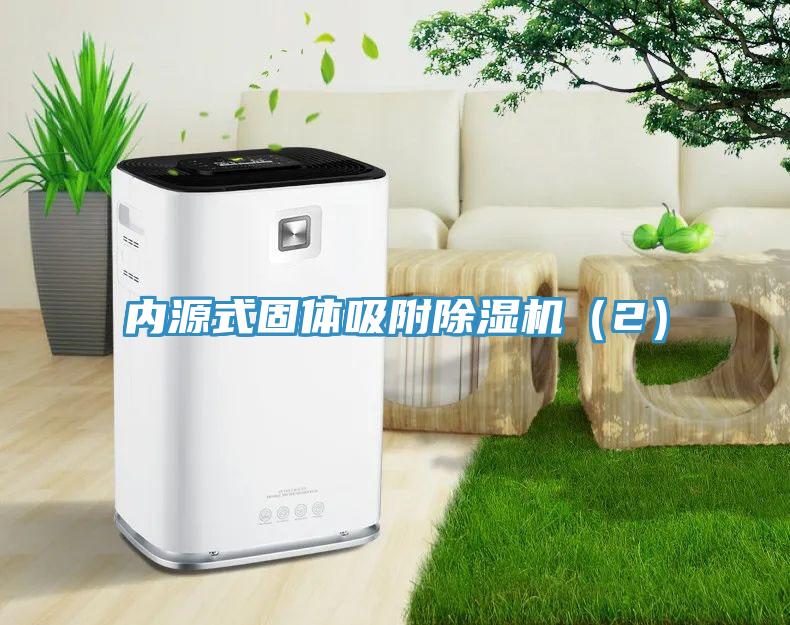 内源式固体吸附91免费网站在线观看（2）