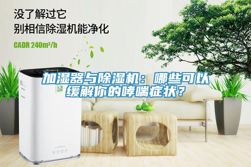 加湿器与91免费网站在线观看：哪些可以缓解你的哮喘症状？