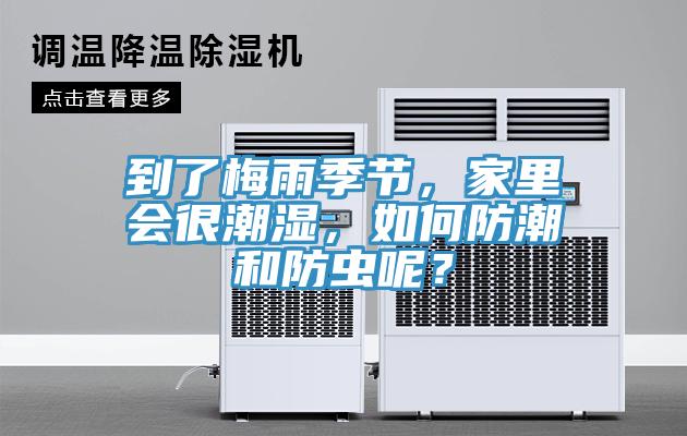 到了梅雨季节，家里会很潮湿，如何防潮和防虫呢？