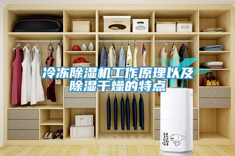 冷冻91免费网站在线观看工作原理以及除湿干燥的特点