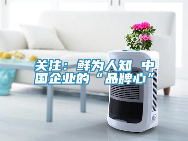 关注：鲜为人知 中国企业的“品牌心”