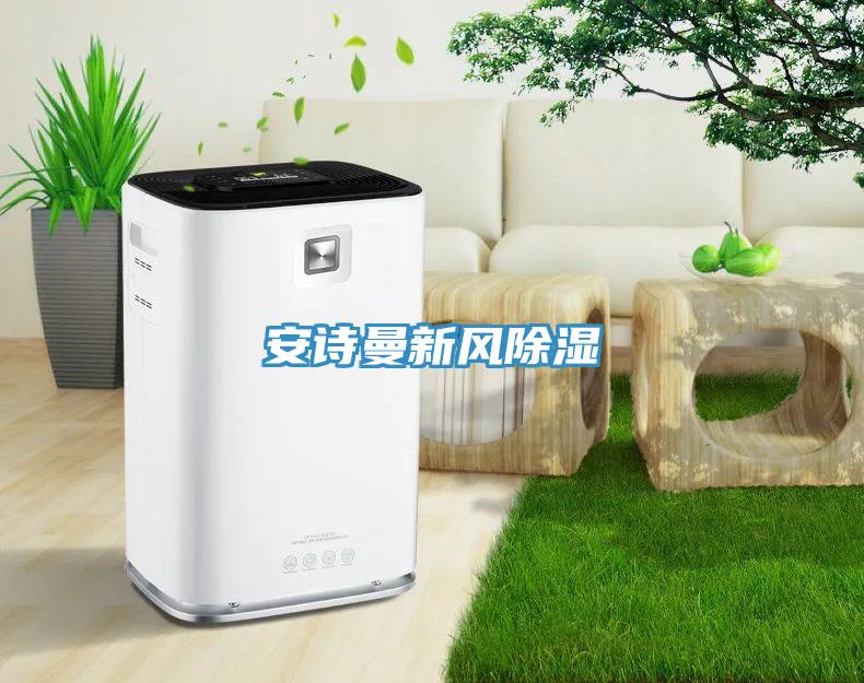 91免费看黄片新风除湿
