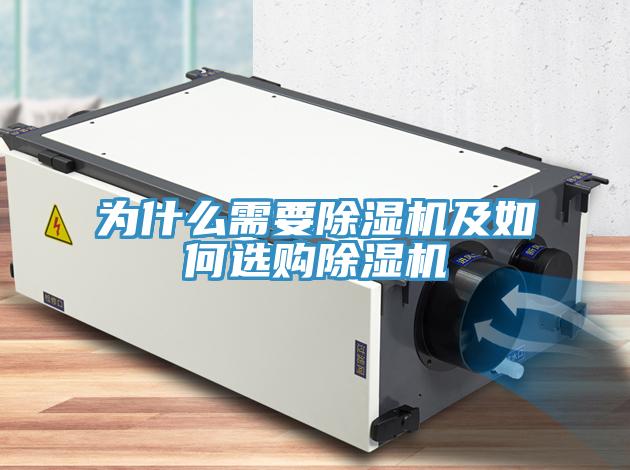 为什么需要91免费网站在线观看及如何选购91免费网站在线观看