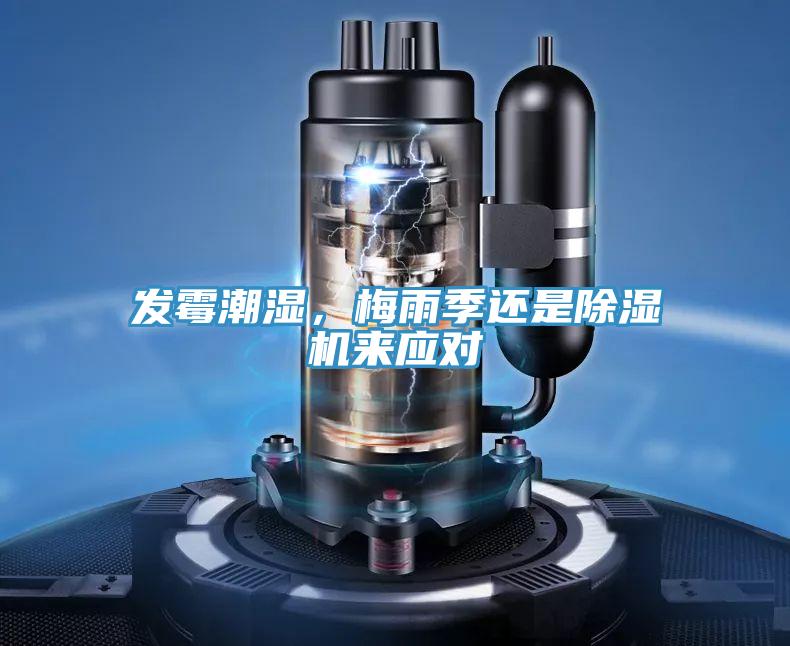 发霉潮湿，梅雨季还是91免费网站在线观看来应对