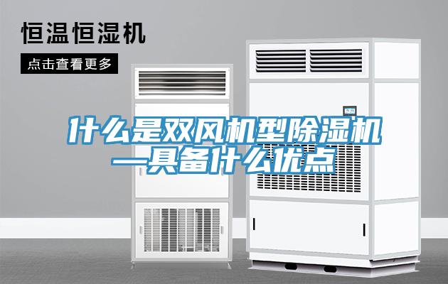 什么是双风机型91免费网站在线观看—具备什么优点