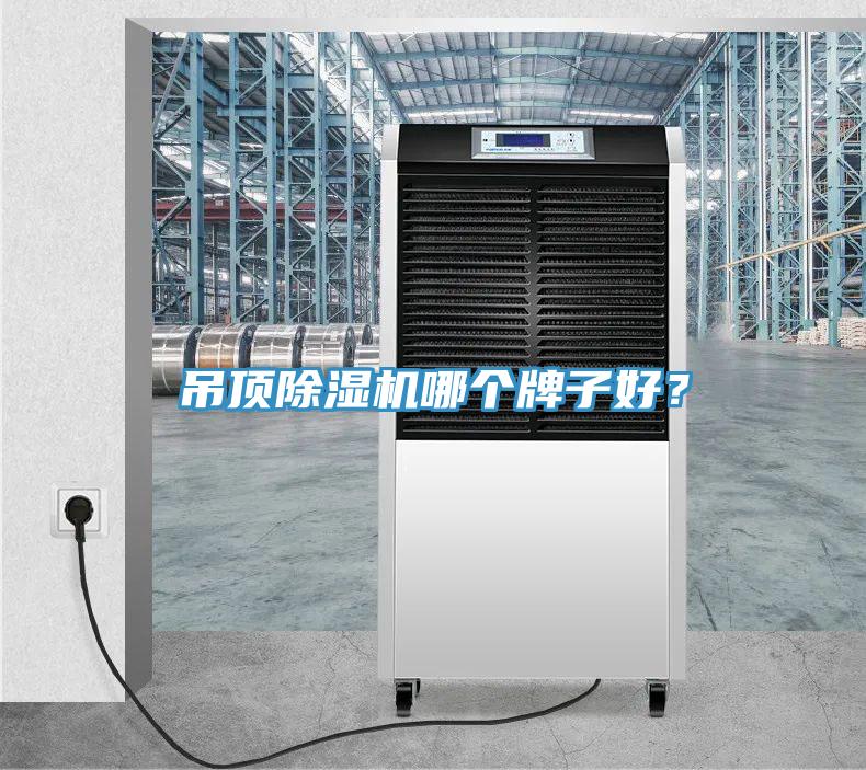 吊顶91免费网站在线观看哪个牌子好？