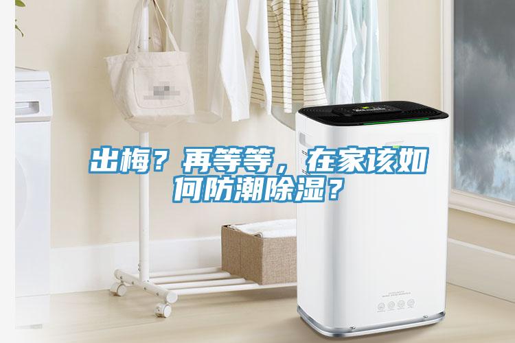 出梅？再等等，在家该如何防潮除湿？