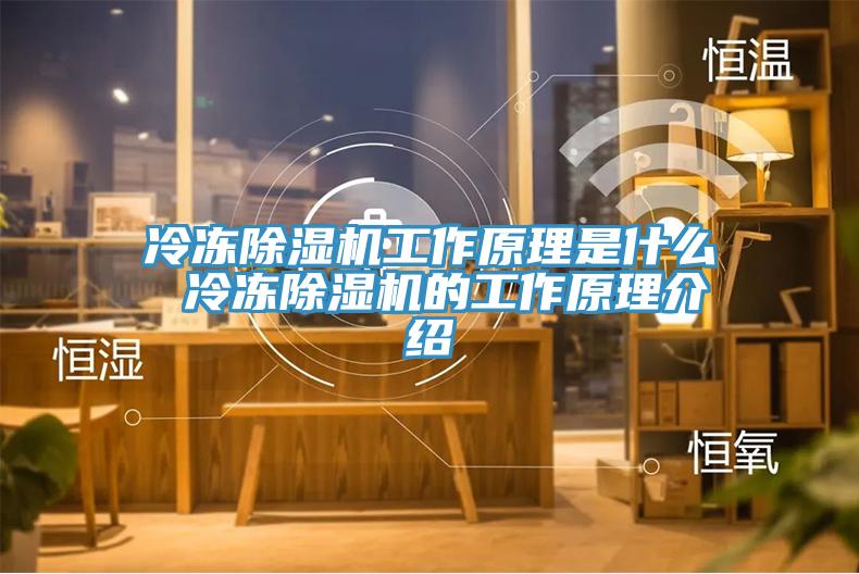 冷冻91免费网站在线观看工作原理是什么 冷冻91免费网站在线观看的工作原理介绍