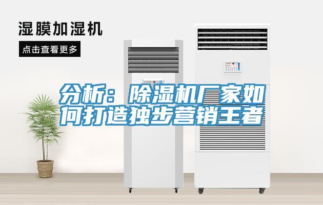 分析：91免费网站在线观看厂家如何打造独步营销王者