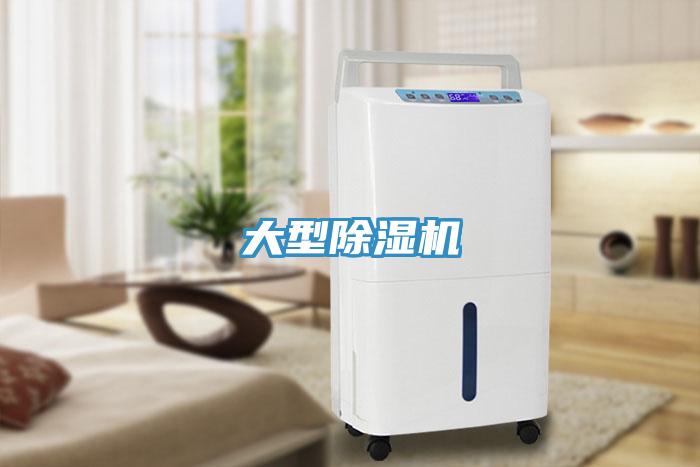 大型91免费网站在线观看