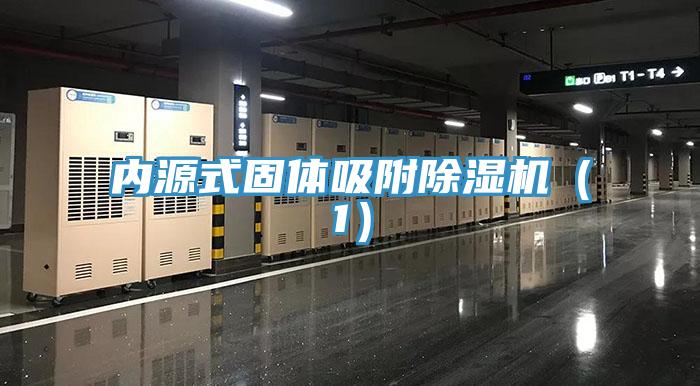 内源式固体吸附91免费网站在线观看（1）