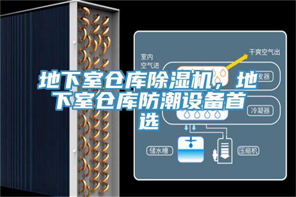 地下室仓库91免费网站在线观看，地下室仓库防潮设备首选