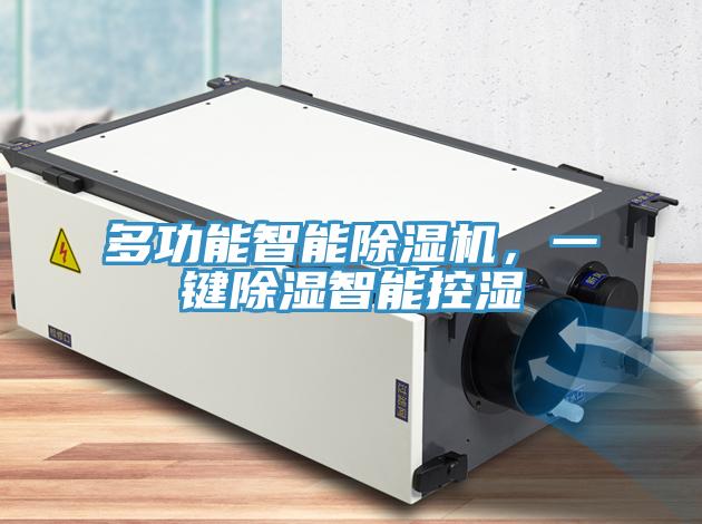 多功能智能91免费网站在线观看，一键除湿智能控湿