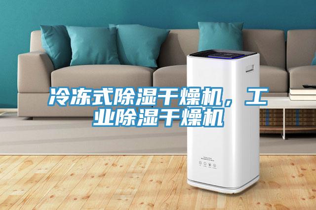冷冻式除湿干燥机，工业除湿干燥机