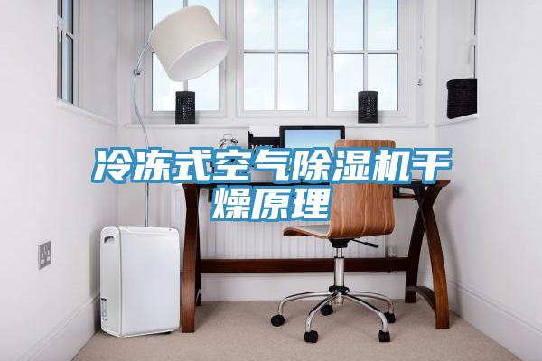冷冻式空气91免费网站在线观看干燥原理