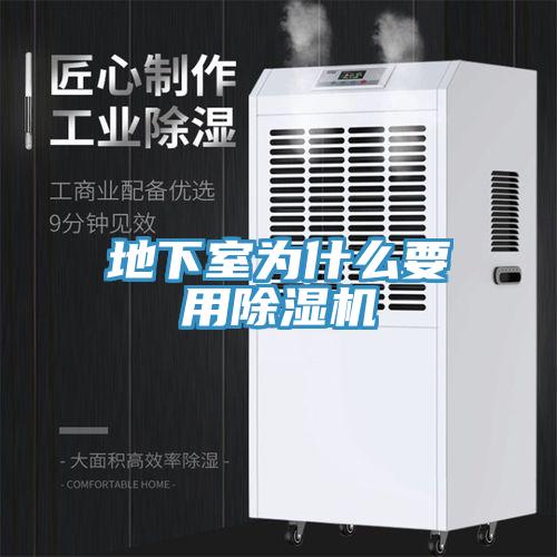 地下室为什么要用91免费网站在线观看