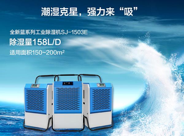 南方进入回南天，多肉植物这样养才不会有事！