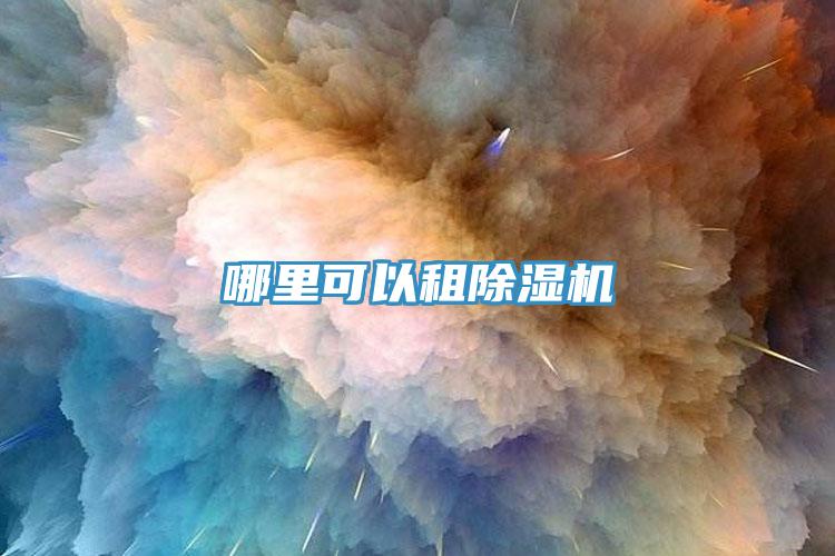 哪里可以租91免费网站在线观看