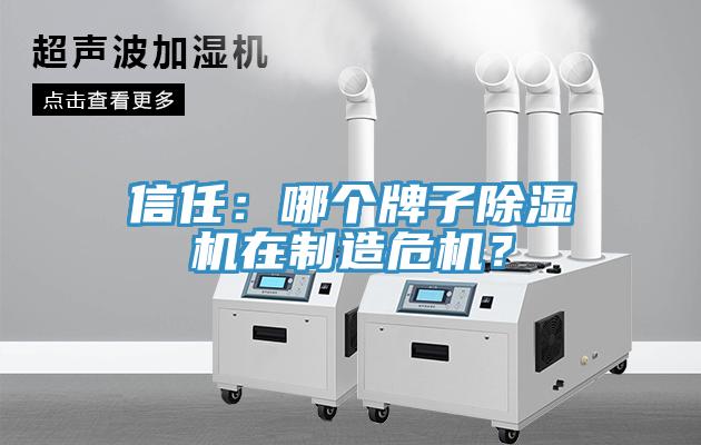信任：哪个牌子91免费网站在线观看在制造危机？