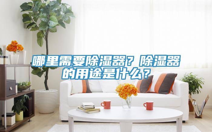 哪里需要除湿器？除湿器的用途是什么？