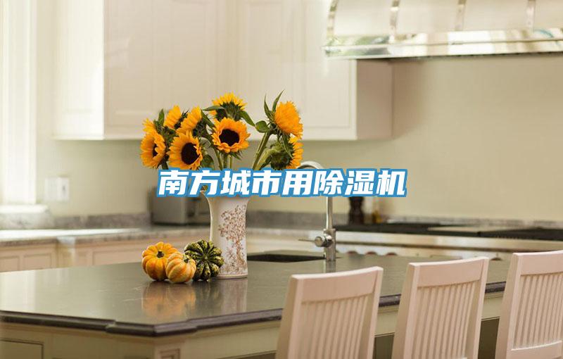 南方城市用91免费网站在线观看