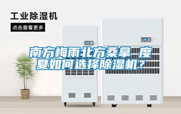 南方梅雨北方桑拿 度夏如何选择91免费网站在线观看？