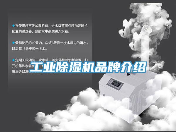 工业91免费网站在线观看品牌介绍