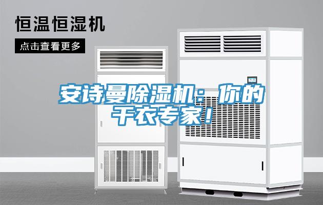 91免费看黄片91免费网站在线观看：你的干衣专家！