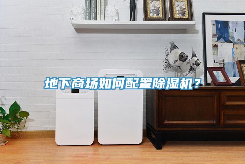 地下商场如何配置91免费网站在线观看？