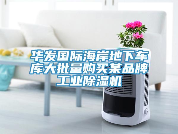 华发国际海岸地下车库大批量购买某品牌工业91免费网站在线观看