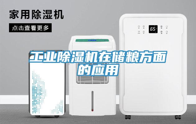工业91免费网站在线观看在储粮方面的应用